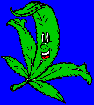 Happyweed, the smiling weed-leaf hero